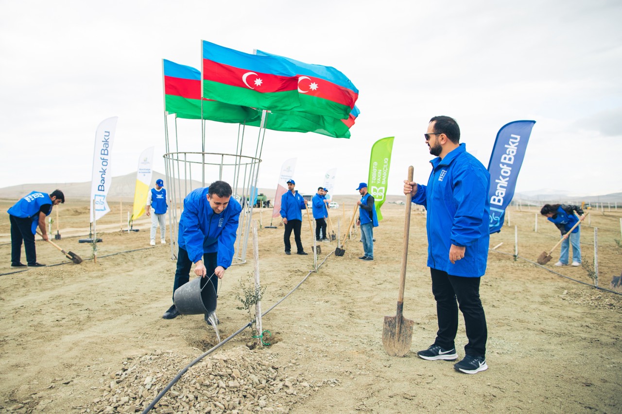 Bank of Baku-dan yaşıl təşəbbüs – növbəti ağacəkmə aksiyası keçirildi